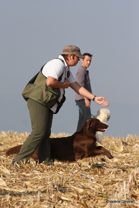 Field Erstein 09 (118).JPG